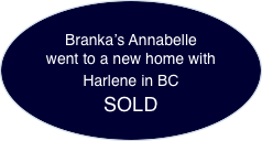   Branka’s Annabelle went to a new home with  Harlene in BC SOL