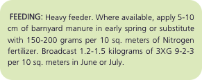   FEEDING: Heavy feeder. Where available, apply 5-10 cm of barn