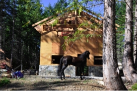 barn5.jpg