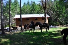 barn6.jpg